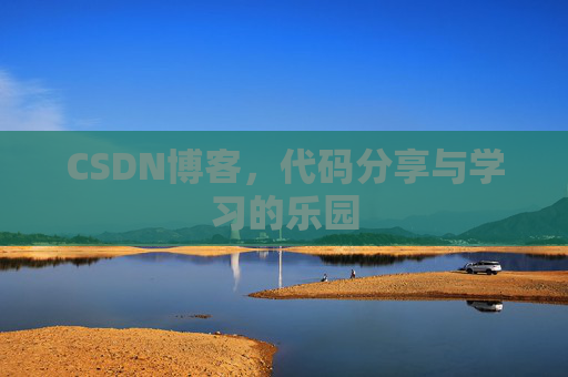 CSDN博客，代码分享与学习的乐园